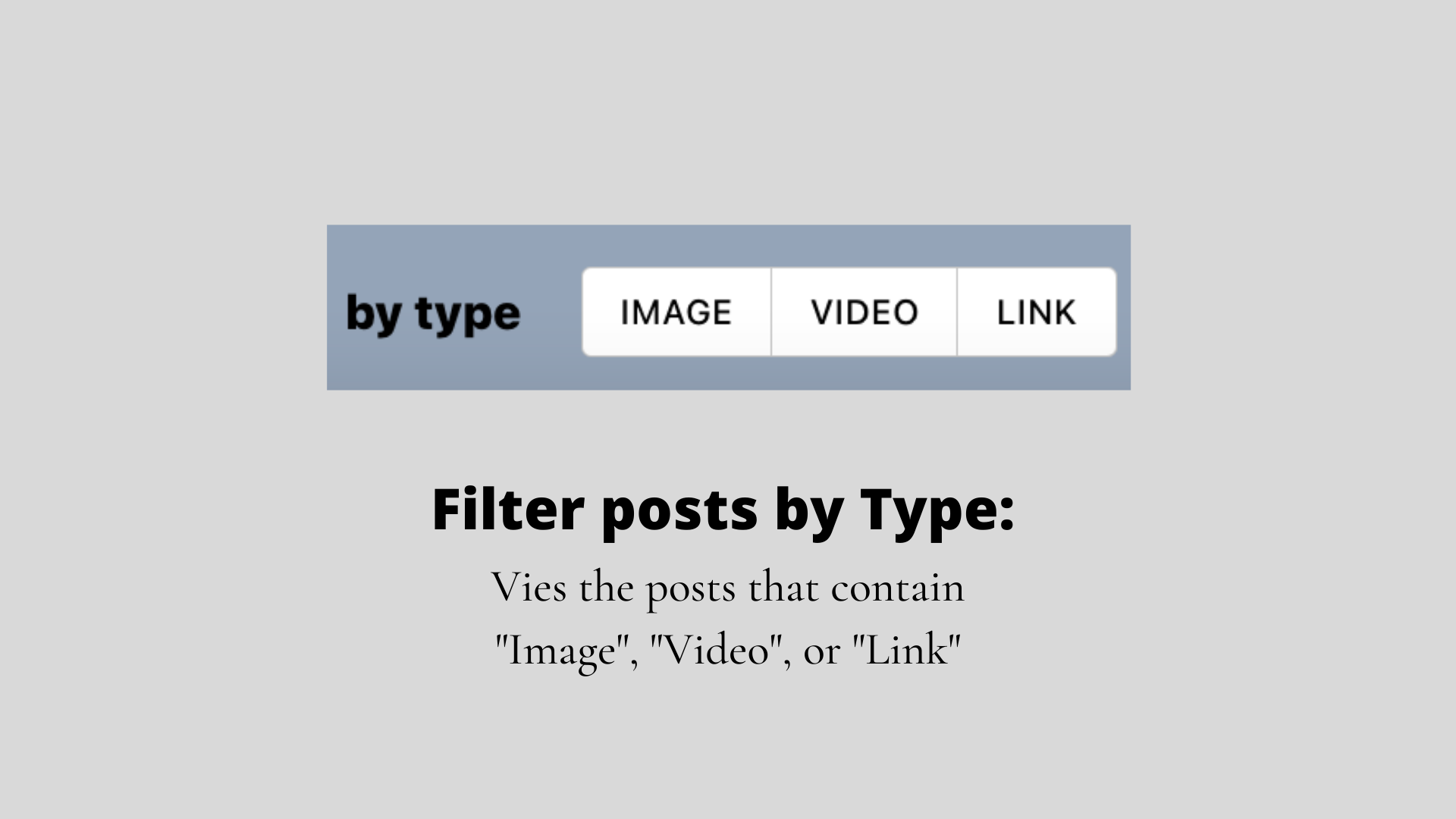 Filter posts by Type: Image, Video, Link