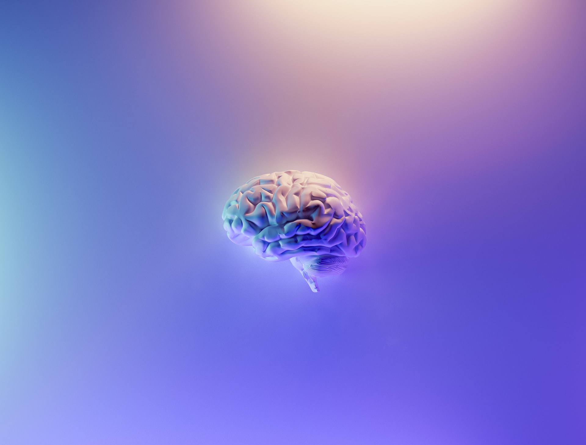 Brain placed on a colorful background